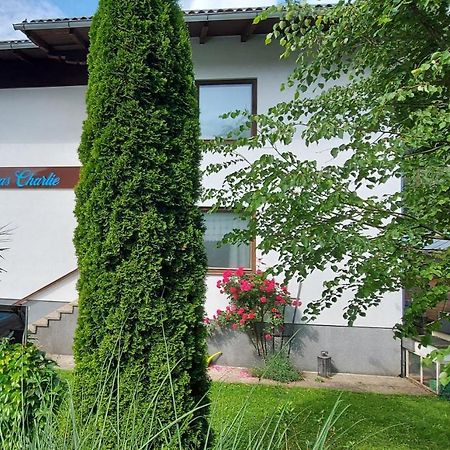 Appartements Das Charlie Ebensee Ngoại thất bức ảnh